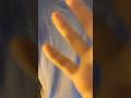 asmr camera tapping and scratching lofi 📸 #asmr #asmrtriggers #asmrshorts #relaxing #lofiasmr