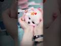 All My🥰♥️ Pets, One Big Hug#Caught with a Handful Happiness#Fluffy Squad #viral #trending #funnycut