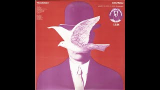 Little Walter Thunder bird
lp compilation Thuderbird Cobblestone records 1971
www.bluesandsoul.info
credits:
written by W. Jacobs
original single :
Little Walter And His Jukes
checker records 811 feb 1955
Bass – Willie Dixon (tracks: A2 to A8, B1 to B8)
Drums – Fred Below (tracks: A1 to A8, B1 to B4)
Guitar – David Miles (6) (tracks: A1, A4,),
Leonard Caston (tracks: A2),
,Robert Lockwood Jr. (tracks: A2 to A8, B1 to B4)
Harmonica, Vocals – Little Walter Little Walter Thunder bird
