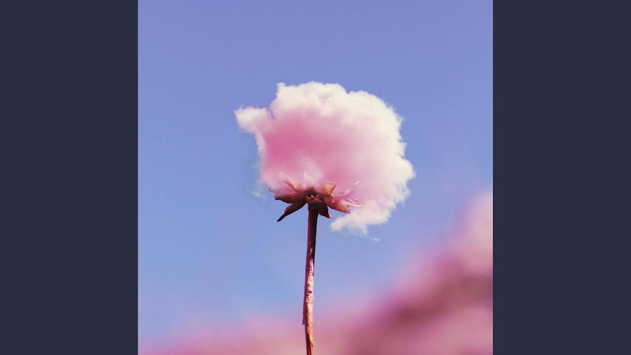 Watch Sunroof on YouTube Watch Sunroof on YouTube