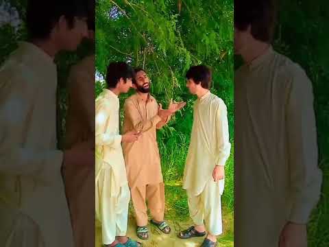 پٹھان کا دماغ خراب ہوگیا پٹھان پاگل ہو گیا نیو مزاحیہ ویڈیو     
