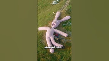 Creepy Giant Bunny EXPLAINED 😱 (decomposing)