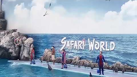 safari world  - Biểu diễn cá heo ở  Thái Lan