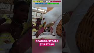 Ranking Funniest Seagulls Moments
