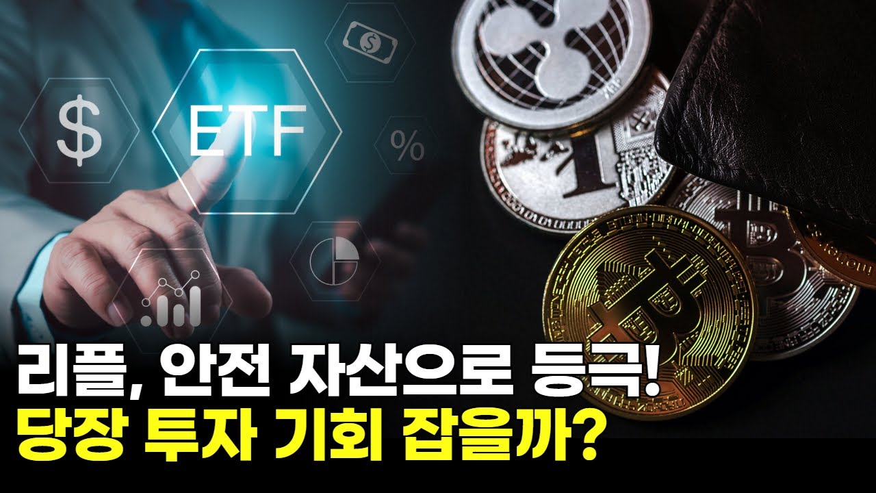 리플, 안전 자산으로 등극! 당장 투자 기회 잡을까? | 황석진 교수