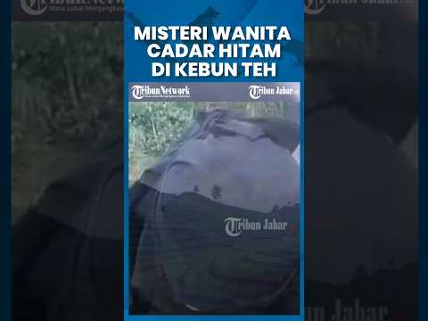 Misteri Wanita Cadar Hitam di Ciwidey Pamer Aurat Masih Gantung, Dicari Pembuat #shorts