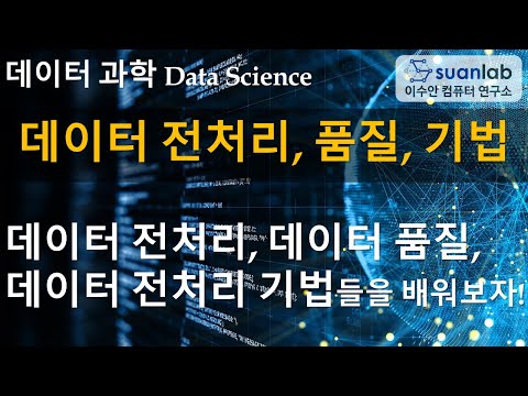   데이터 전처리 품질 기법 Data Preprocessing Quality Techniques