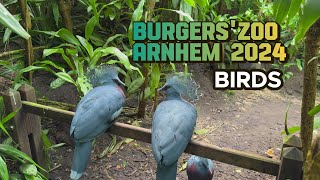 Birds in Burgers' Zoo