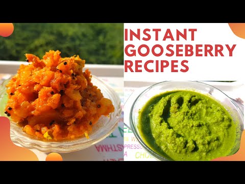 Instant Gooseberry  Recipes |Winter Special Chutney |Amla chutney |Spoons Of Sangeeta Simple Recipes