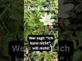 💡 „Ich kann nicht? Willst du wirklich nicht?“ – Warum jede Entscheidung zählt