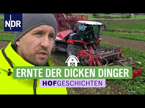 Rübenernte 2023 Ersteinsatz neuer HOLMER Terra Dos 5 Rübenvollernter - Traktor JD 8RX Landwirtschaft
