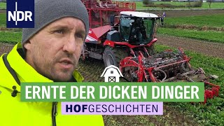 Anstrengende Rübenernte auf dem Mühlenhof | Hofgeschichten: Leben auf dem Land (256) | NDR