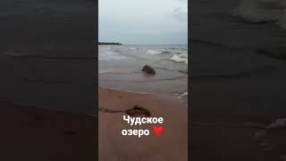 #чудскоеозеро #озеро #лето2023 #лето #чудское