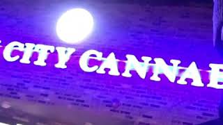 Windy City Cannabis SKOTHEARTIST