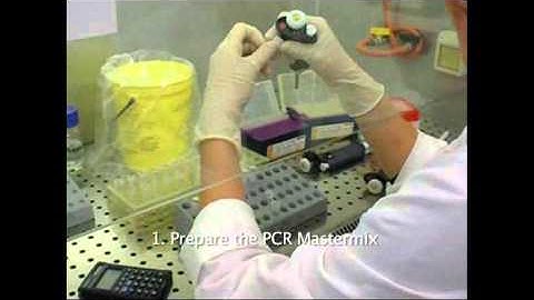 EuResist - Home Made Nested-PCR