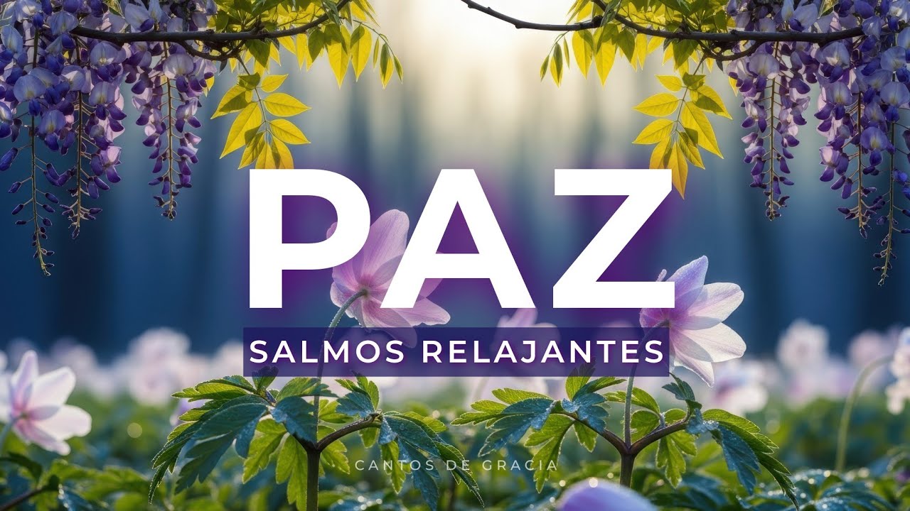 PAZ INTERIOR Salmos Relajantes para Calmar la Ansiedad y Reducir el ...