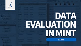 Data Evaluation In Mint - Part 1