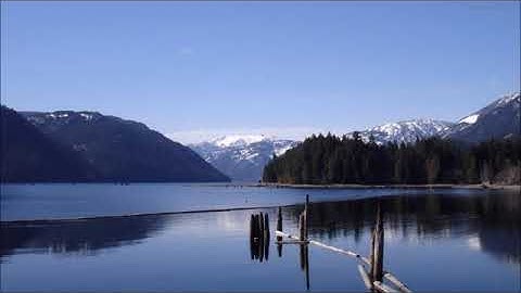 سلمان العتيبي سورة النجم كامله