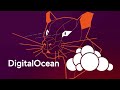 How to Install ownCloud on Ubuntu 20.04 LTS DigitalOcean