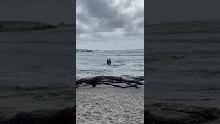 Cold but happy at Carmel Beach. #california #beach #waves #coastal #life #cloudy #cold #happy