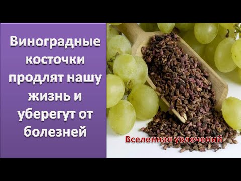 ВИНОГРАДНАЯ КОСТОЧКА   ПРОДЛЕВАЕТ ЖИЗНЬ  Vselennaya uvlecheniy