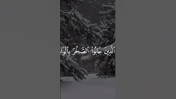 سورة الفجر بصوت القارئ عبد الرحمن الناجي