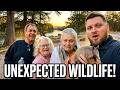 South Llano State Park Camping | Animals We Didn't Expect