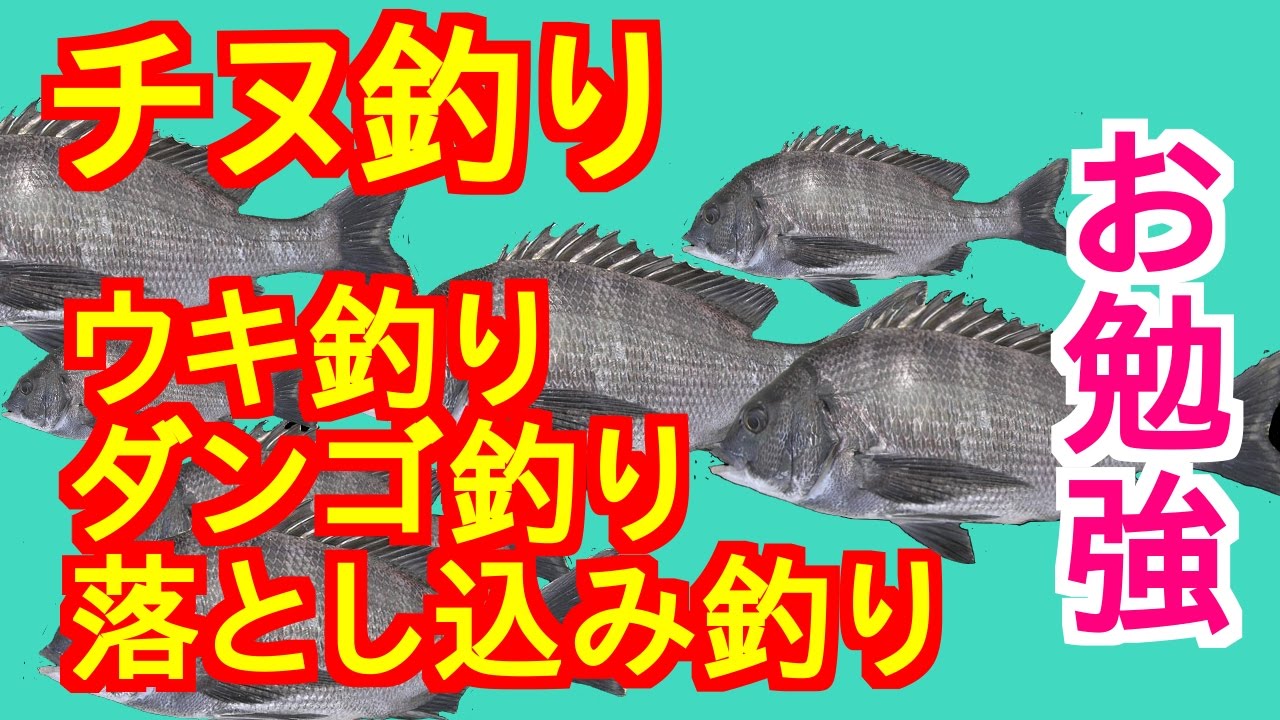 チヌ釣り ウキ釣り ダンゴ釣り 落とし込み釣り 仕掛けや釣り方基礎知識 Youtube