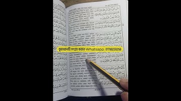 সূরাঃ আল-হুজুরাত | Al-Hujurat | سورة الحجرات - আয়াতঃ ১১