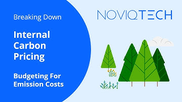 How Internal Carbon Pricing Works – A Simple Guide for Businesses