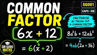 Factorisation Using a Common Factor | CAPS & IEB Maths | SG001