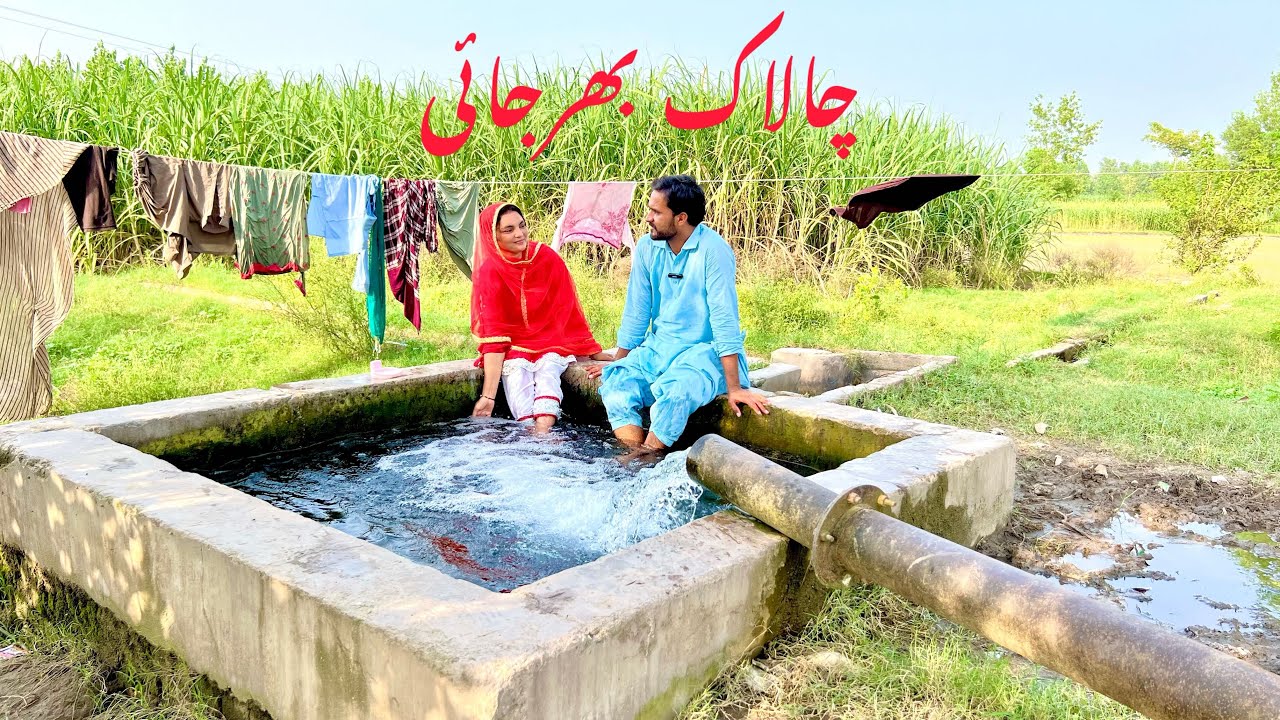 Chalaak bharjai/new panjabi culture drama/Ahmad sher official team/new 2024