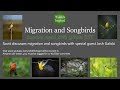 Migration and Songbird Photography - Part 1