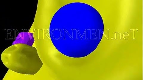 Neurotransmitter Synapse 3D Animation Closeup