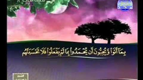 سورة ال عمران 171  200 الشيخ مفتاح السلطني