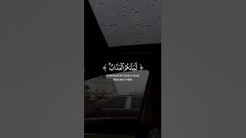 سورة العنكبوت ...