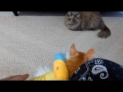 【記録】20240723