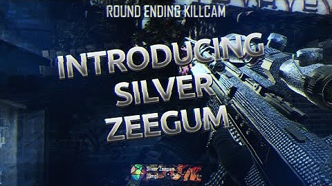 Introducing Silver Zeegum #Shen @ShenVisuals