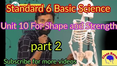 Standard 6 Basic Science unit 10 For Shape and Strength part 2 @ClassRoomsaranya