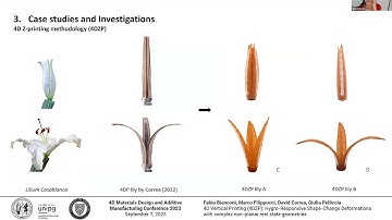 4DMDA-2023 - Giulia Pelliccia - 4D Vertical Printing (4DZP): Hygro-Responsive Shape-Change Deform...