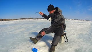 ВОДЫ ПОЧТИ НЕТ! ГДЕ ПЛОТВА? Рыбалка на РУЗЕ в конце марта.