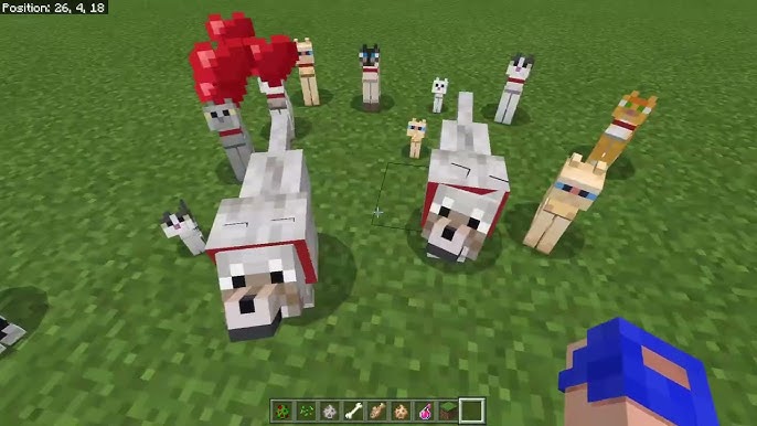 NEW- POKELUCKY MOD - MINECRAFT 1.16.5 (MOD SHOWCASE) PIXELMON LUCKY BLOCK.mp4  on Vimeo