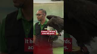 2023 In 60 Seconds
