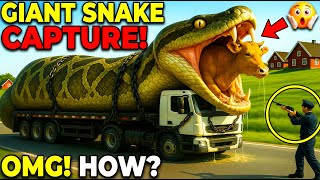 Brave Heroes Save Poor Cow From Deadly Giant Mutant Python 🐍 #rescue #viralvideo
