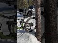 #mtbshorts