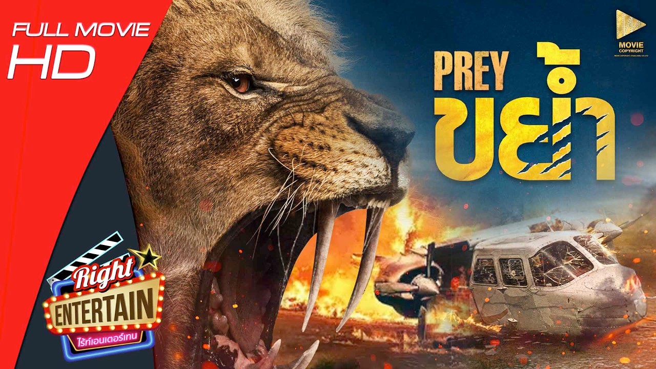 ภาพยนตร์เต็ม