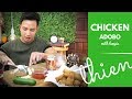 [mukbang/cookbang with THIEN]: Filipino Chicken Adobo and Lumpia (Pork &amp; Vegetables Egg Rolls)