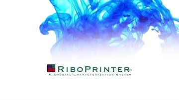 RiboPrinter® Microbial Identification & Characterization System