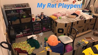 All About my Rats Free-Range Area (Updated)