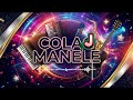 🎤 Manele 2025 pentru Suflet și Distracție | Colaj Care Îți Dă Stare Bună